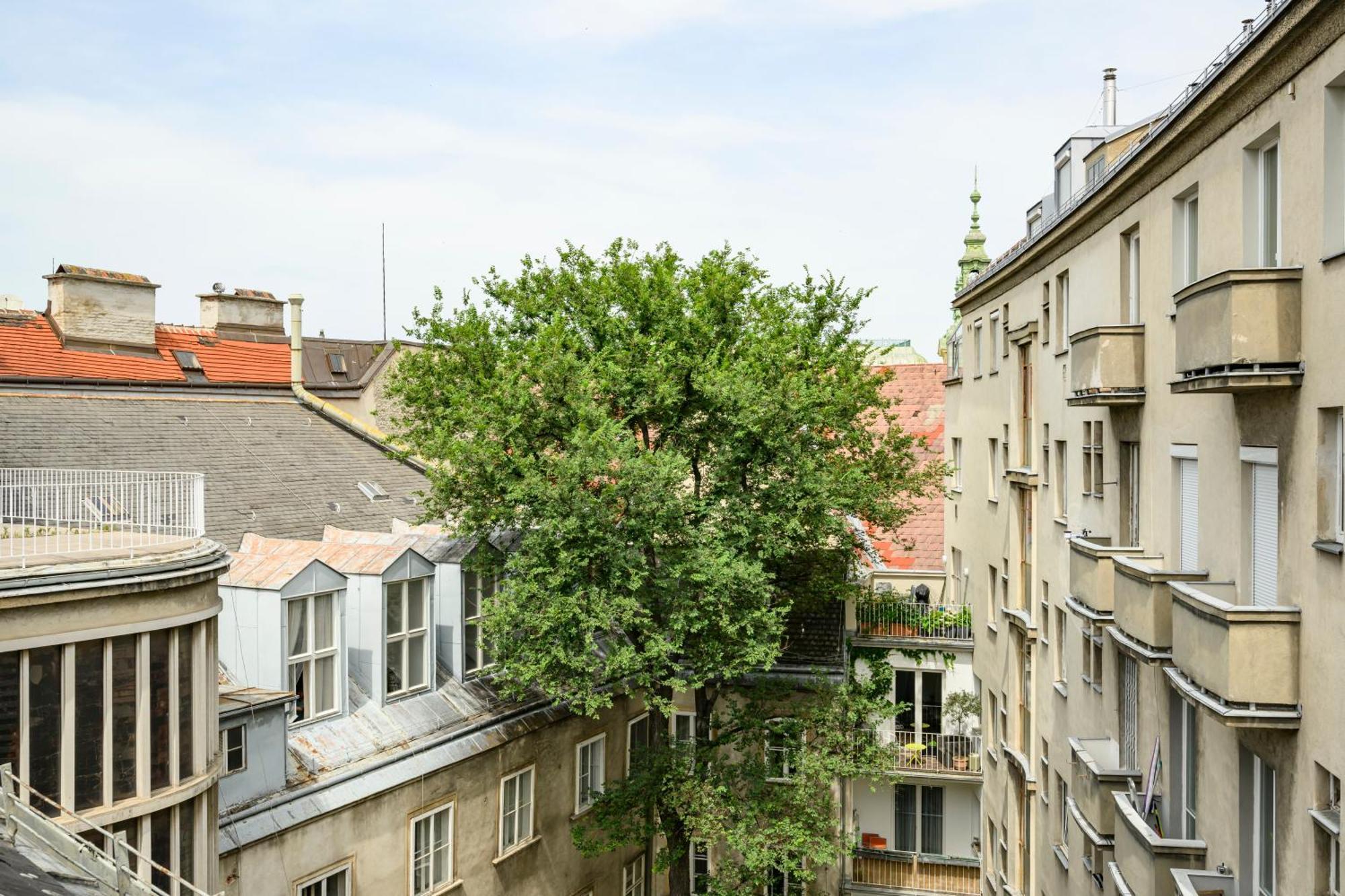 Palais Palffy Suits Vídeň Exteriér fotografie